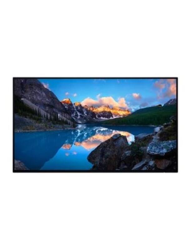 MONITOR LCD 24 U2424H IPS/WITHOUT STAND 210-BLBT DELL
