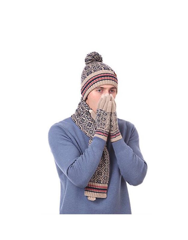 Žiemos rinkinys (pirštinės, šalikas, kepurė), smėlio spalvos M1211031-2 2